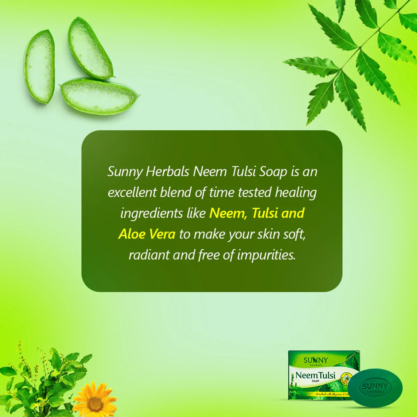 Bakson's Sunny Herbals Neem Tulsi Soap - 75 gm
