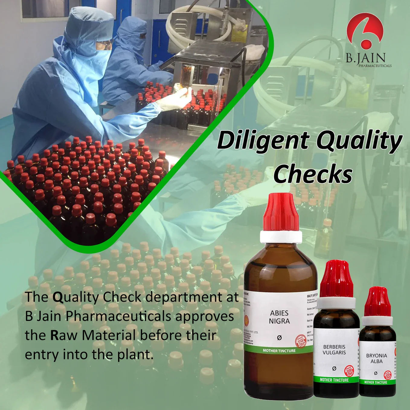 Bjain Homeopathy Abies Nigra Mother Tincture Q - 30 ml