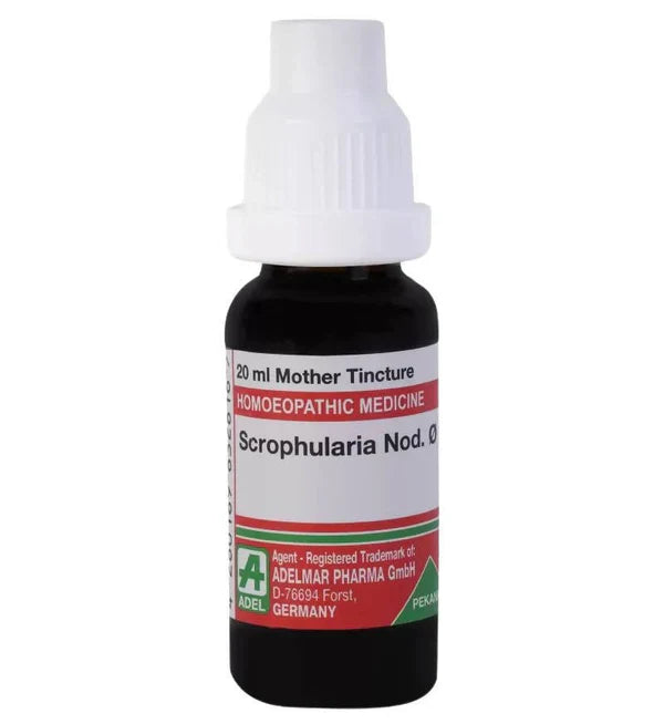 Adel Homeopathy Scrophularia Nod Mother Tincture Q - 20 ml