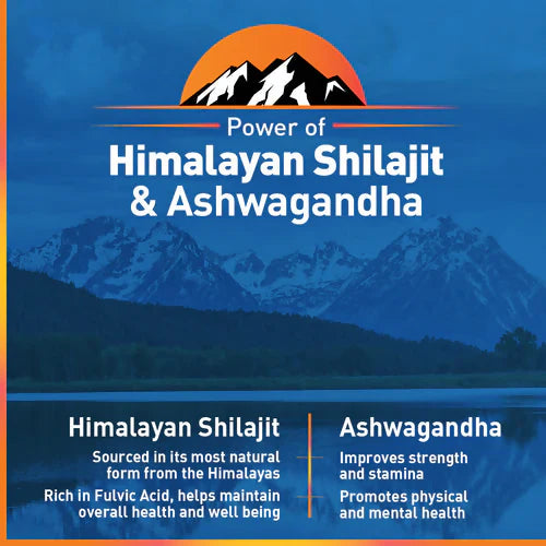 Zandu Vigorex SJ Ashwagandha Capsules - 60 caps